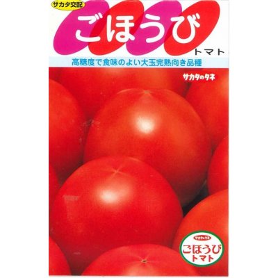 画像1: [トマト]　ごほうび　100粒　サカタのタネ（株）