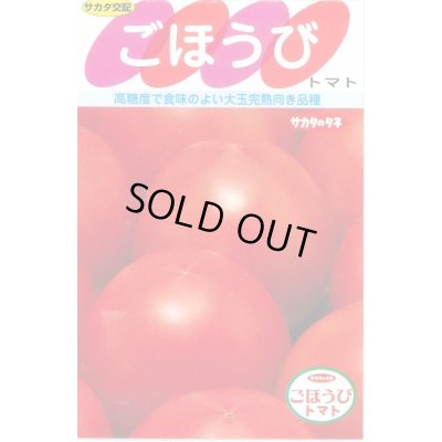 画像1: [トマト] ごほうび 100粒 (株)サカタのタネ