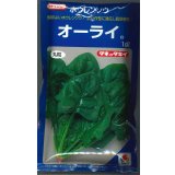 送料無料　[ほうれんそう]　オーライ　1dl　タキイ種苗(株)