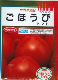 [トマト]　送料無料！　ごほうび　1000粒　サカタのタネ（株）