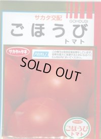 送料無料 [トマト] ごほうび 1000粒 (株)サカタのタネ