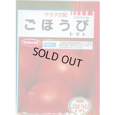 画像1: 送料無料 [トマト] ごほうび 1000粒 (株)サカタのタネ