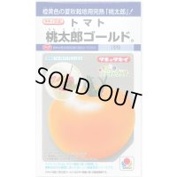 送料無料　[トマト/桃太郎系]　桃太郎ゴールド　16粒　タキイ種苗(株)　DF