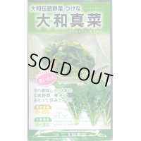 送料無料 　葉物　大和真菜　10ml 　（株）大和農園