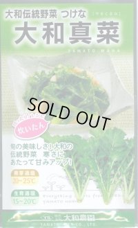 送料無料　葉物　大和真菜　10ml　(株)大和農園