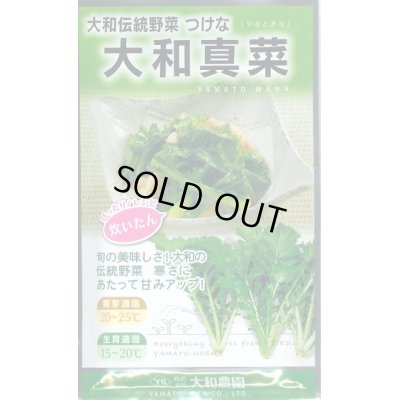 画像1: 送料無料 　葉物　大和真菜　10ml 　（株）大和農園