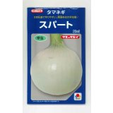 送料無料　[たまねぎ]　スパート　20ml　タキイ種苗(株)