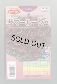 [レタス] リーフレタス サマールージュ ペレット130粒 タキイ種苗