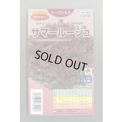 画像1: [レタス] リーフレタス サマールージュ ペレット130粒 タキイ種苗