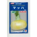 送料無料　[たまねぎ]　マッハ　20ml　タキイ種苗(株)