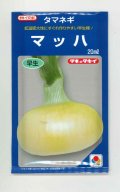 送料無料　[たまねぎ]　マッハ　20ml　タキイ種苗(株)