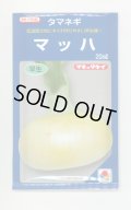 送料無料　[たまねぎ]　マッハ　20ml　タキイ種苗(株)