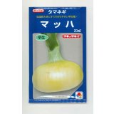 送料無料　[たまねぎ]　マッハ　20ml　タキイ種苗(株)