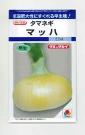 送料無料　[たまねぎ]　マッハ　4.5ml(約450粒)　タキイ種苗(株)　DF