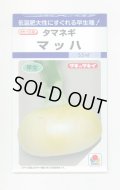 送料無料　[たまねぎ]　マッハ　4.5ml(約450粒)　タキイ種苗(株)　DF