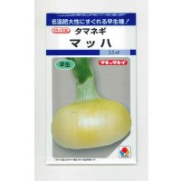 送料無料　[たまねぎ]　マッハ　4.5ml(約450粒)　タキイ種苗(株)　DF