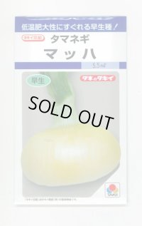 送料無料　[たまねぎ]　マッハ　4.5ml(約450粒)　タキイ種苗(株)　DF