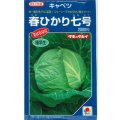 送料無料　[キャベツ]　春ひかり七号　2000粒　タキイ種苗(株)