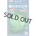 送料無料　[キャベツ]　春ひかり七号　2000粒　タキイ種苗(株)