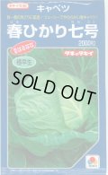 送料無料　[キャベツ]　春ひかり七号　2000粒　タキイ種苗(株)