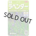 送料無料　[ハーブの種]　ラベンダー　(約60粒)　(株)サカタのタネ　実咲（003192）
