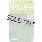送料無料　[ハーブの種]　ラベンダー　(約60粒)　(株)サカタのタネ　実咲（003192）