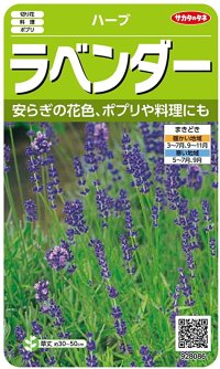 [ハーブの種]　　ラベンダー　（約60粒）　サカタのタネ　実咲