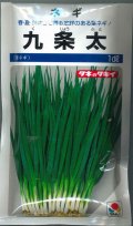 送料無料　[ねぎ]　九条太　1dl　タキイ種苗(株)