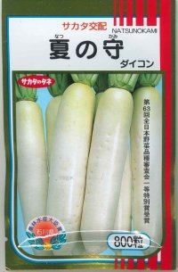 送料無料　[大根]　夏の守　800粒　(株)サカタのタネ