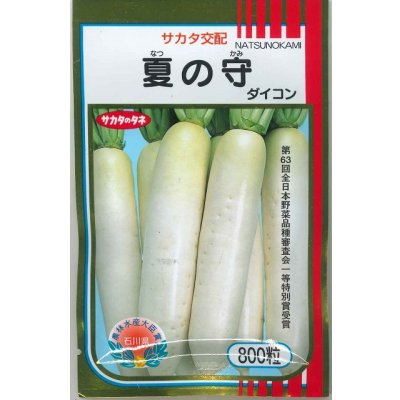 画像1: 送料無料　[大根]　夏の守　800粒　(株)サカタのタネ