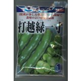 送料無料　[そら豆]　打越緑一寸　1dl(およそ25粒)　(株)サカタのタネ