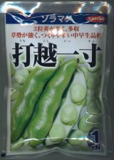 送料無料　[そら豆]　打越一寸　1dl(およそ22粒)　(株)サカタのタネ