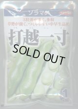 送料無料　[そら豆]　打越一寸　1dl(およそ22粒)　(株)サカタのタネ