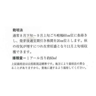 画像2: 送料無料　山形せいさい　20ml　山形県種苗株式会社