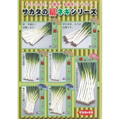 画像2: 送料無料　[ねぎ]　夏扇3号　ペレット種子　6000粒　(株)サカタのタネ