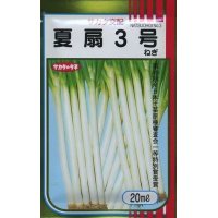 [ねぎ]　夏扇3号　20ml（裸種子）　　（株）サカタのタネ