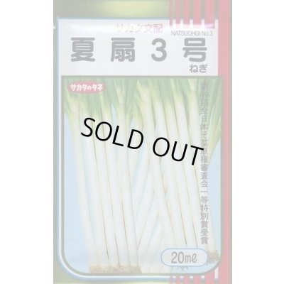 画像1: [ねぎ] 夏扇3号 20ml(裸種子) (株)サカタのタネ