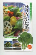 送料無料　[小松菜]　サラダ小松菜　20ml　丸種（株）