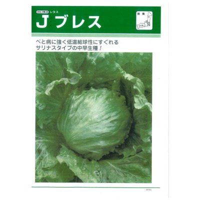 画像3: [レタス]　送料無料！　Ｊブレス　ペレット5000粒　　タキイ種苗（株）