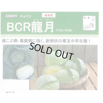 画像2: 送料無料　[キャベツ]　ＢＣＲ龍月　160粒　タキイ種苗(株)　DF