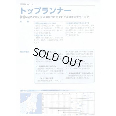 画像4: 送料無料　[大根]　トップランナー3.5ml　タキイ種苗(株)　DF