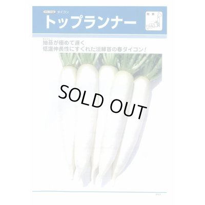 画像2: 送料無料　[大根]　トップランナー3.5ml　タキイ種苗(株)　DF
