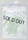 送料無料　[オクラ]　ずーっとみどり　1000粒　(株)サカタのタネ