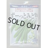 送料無料　[オクラ]　ずーっとみどり　1000粒　(株)サカタのタネ