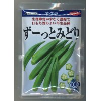 [オクラ]　ずーっとみどり　1000粒　サカタ交配