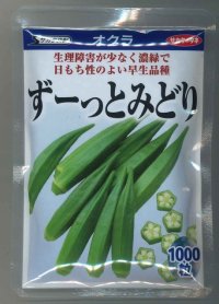 [オクラ]　ずーっとみどり　1000粒　サカタ交配