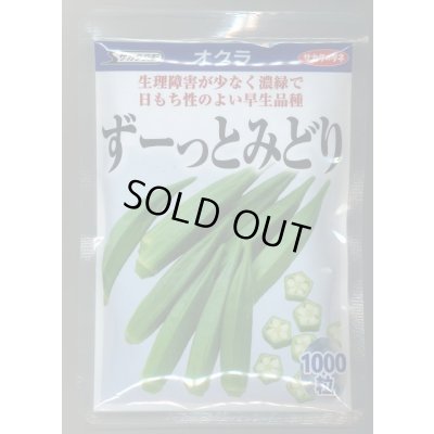 画像1: 送料無料　[オクラ]　ずーっとみどり　1000粒　(株)サカタのタネ