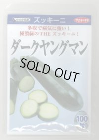 送料無料　[ズッキーニ]　ダークヤングマン　100粒　(株)サカタのタネ