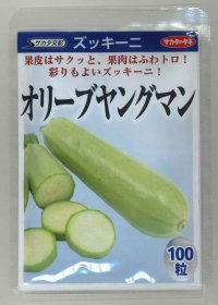 [ズッキーニ]　オリーブヤングマン　100粒　サカタ交配