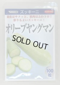 送料無料　[ズッキーニ]　オリーブヤングマン　100粒　(株)サカタのタネ